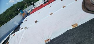 고추농사 정 미라님의 자유주제 · 자유게시판 작성글 사진