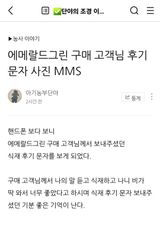 팜모닝 자유주제·자유게시판 게시글 이미지