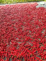 팜모닝 자유주제·자유게시판 게시글 이미지