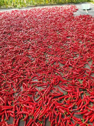 유선경님의 자유주제 · 자유게시판 작성글 사진