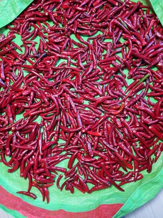 강신근님의 요즘 무엇에 관심있나요? · 참여글 작성글 사진