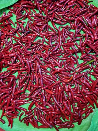 강신근님의 요즘 무엇에 관심있나요? · 참여글 작성글 사진