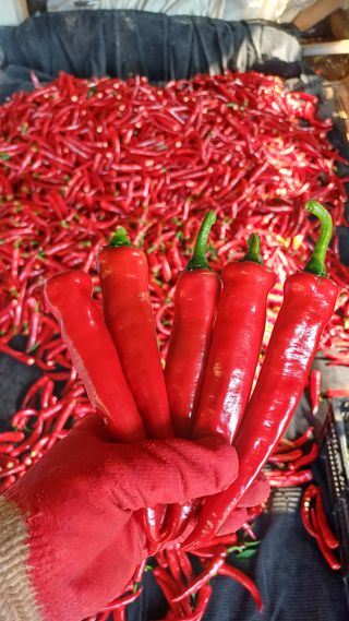 나다1004님의 자유주제 · 자유게시판 작성글 사진