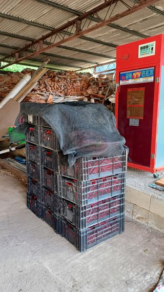 나다1004님의 자유주제 · 자유게시판 작성글 사진