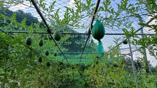 나다1004님의 자유주제 · 자유게시판 작성글 사진