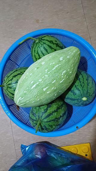 나다1004님의 자유주제 · 자유게시판 작성글 사진