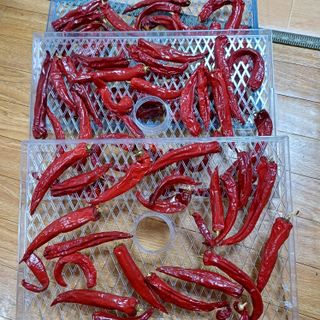 알 수 없음님의 자유주제 · 자유게시판 작성글 사진