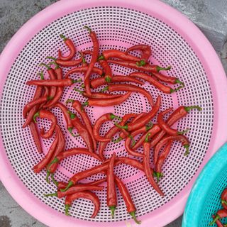 알 수 없음님의 자유주제 · 자유게시판 작성글 사진