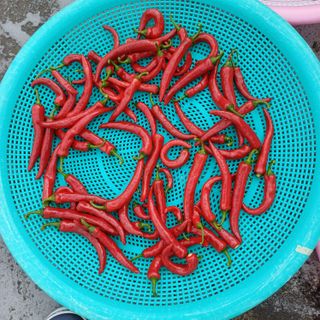 알 수 없음님의 자유주제 · 자유게시판 작성글 사진