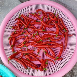 알 수 없음님의 자유주제 · 자유게시판 작성글 사진