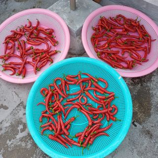 알 수 없음님의 자유주제 · 자유게시판 작성글 사진