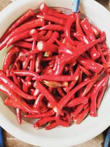 팜모닝 고추·영농일지 게시글 이미지