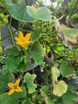 팜모닝 요즘 무엇에 관심있나요?·참여글 게시글 이미지