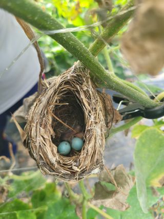 이정대님의 요즘 무엇에 관심있나요? · 참여글 작성글 사진