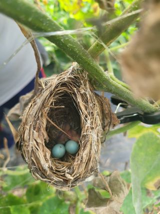 이정대님의 요즘 무엇에 관심있나요? · 참여글 작성글 사진
