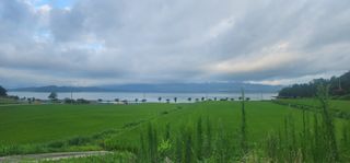 장유신님의 벼 · 영농일지 작성글 사진