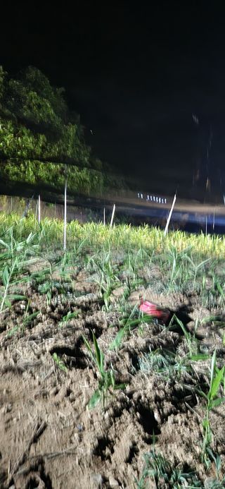 최군환님의 기타작물 · 영농일지 작성글 사진