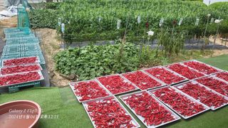 이영기님의 요즘 무엇에 관심있나요? · 참여글 작성글 사진