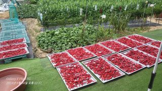 이영기님의 요즘 무엇에 관심있나요? · 참여글 작성글 사진