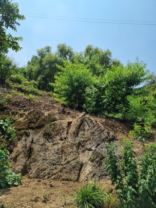 풍요님의 자유주제 · 자유게시판 작성글 사진