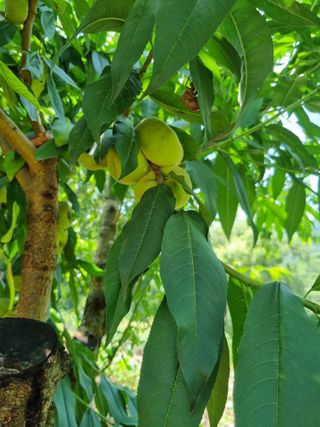 풍요님의 자유주제 · 자유게시판 작성글 사진