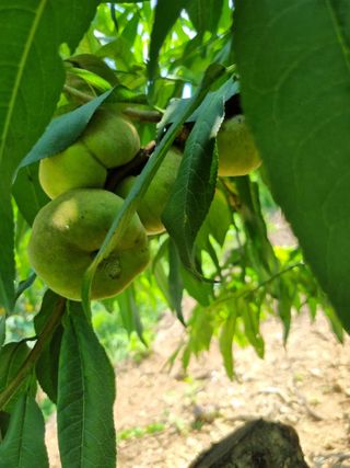 풍요님의 자유주제 · 자유게시판 작성글 사진