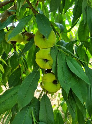 풍요님의 자유주제 · 자유게시판 작성글 사진