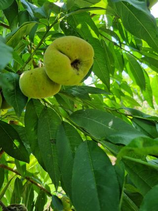 풍요님의 자유주제 · 자유게시판 작성글 사진