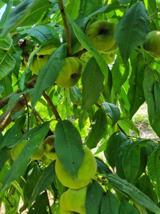 풍요님의 자유주제 · 자유게시판 작성글 사진