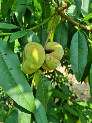 풍요님의 자유주제 · 자유게시판 작성글 사진