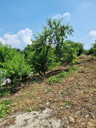 풍요님의 자유주제 · 자유게시판 작성글 사진