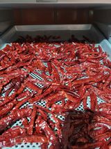 팜모닝 고추·영농일지 게시글 이미지