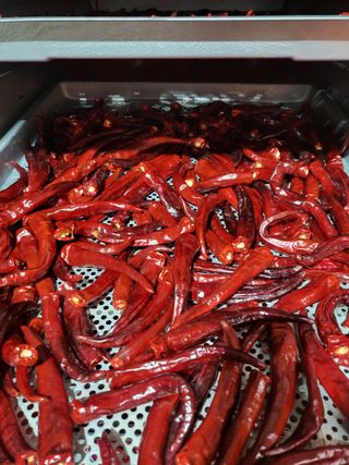 김성제님의 고추 · 영농일지 작성글 사진