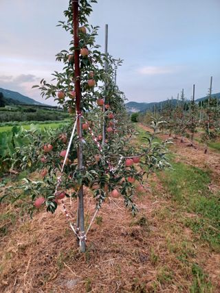 경남거창 권순형님의 자유주제 · 자유게시판 작성글 사진