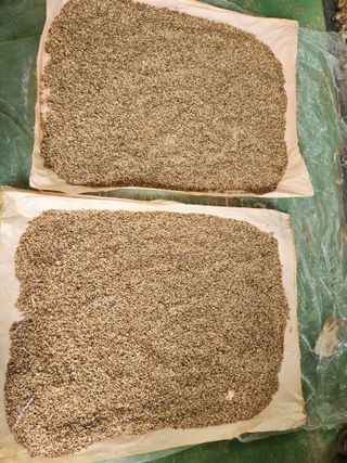 갑돌이님의 자유주제 · 자유게시판 작성글 사진