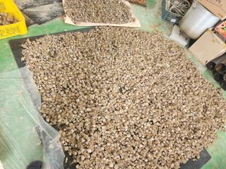 갑돌이님의 자유주제 · 자유게시판 작성글 사진