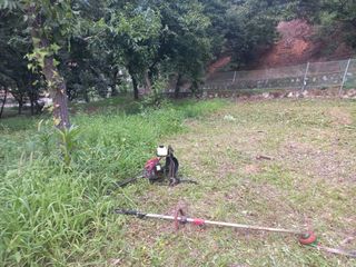 손 무현님의 기타작물 · 영농일지 작성글 사진