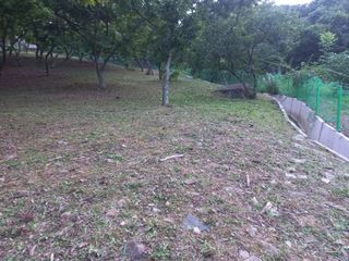 손 무현님의 기타작물 · 영농일지 작성글 사진