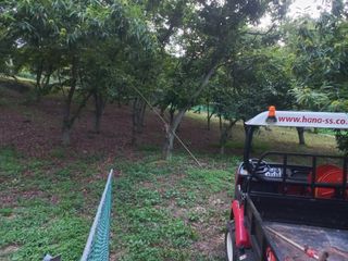 손 무현님의 기타작물 · 영농일지 작성글 사진