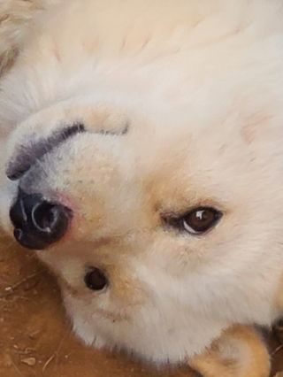 이뿐간장님의 자유주제 · 자유게시판 작성글 사진