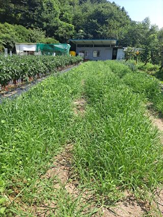 강원사랑인님의 요즘 무엇에 관심있나요? · 참여글 작성글 사진