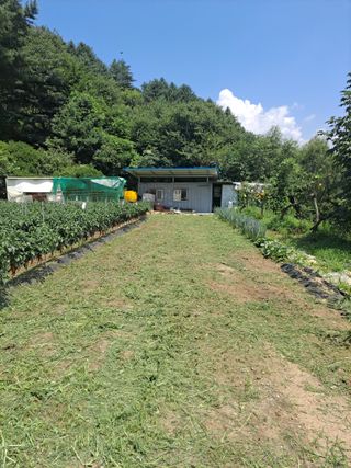 강원사랑인님의 요즘 무엇에 관심있나요? · 참여글 작성글 사진