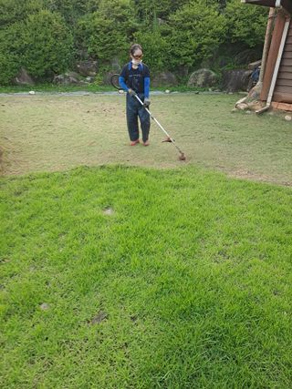 강원사랑인님의 요즘 무엇에 관심있나요? · 참여글 작성글 사진