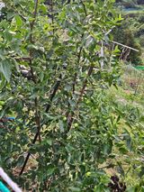 팜모닝 자유주제·자유게시판 게시글 이미지