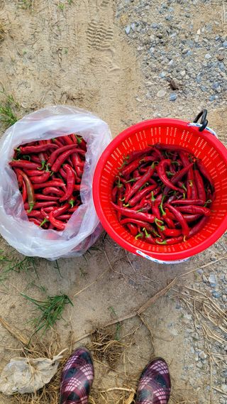 선영~~님의 자유주제 · 자유게시판 작성글 사진