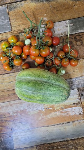 선영~~님의 자유주제 · 자유게시판 작성글 사진