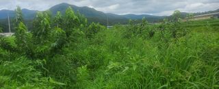 복주농장님의 기타작물 · 영농일지 작성글 사진