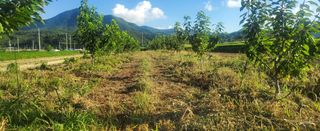 복주농장님의 기타작물 · 영농일지 작성글 사진