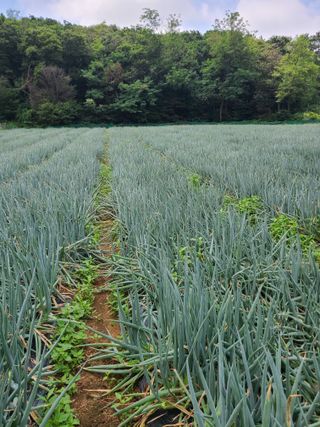 이뿐간장님의 자유주제 · 자유게시판 작성글 사진