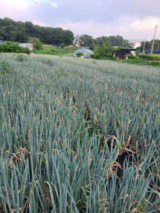 이뿐간장님의 자유주제 · 자유게시판 작성글 사진